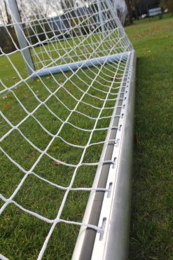 Ingefreesd doel detailfoto