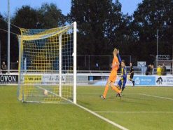 Doelnet vrije netophanging blauw-geel