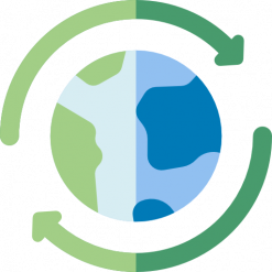 Green Sports Collection