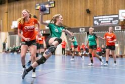 Handbal toebehoren
